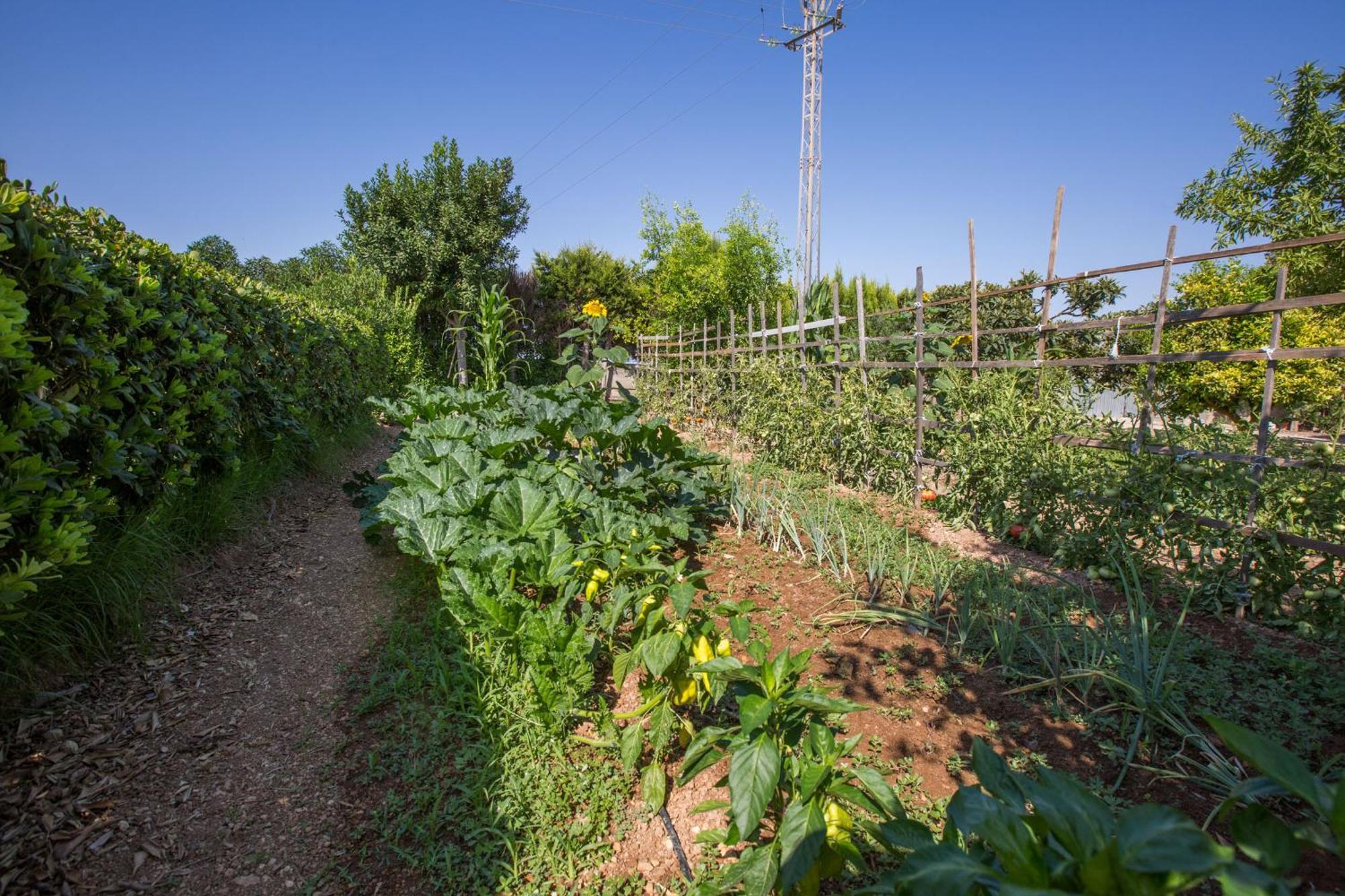Villa Fernando Manacor  Exterior photo